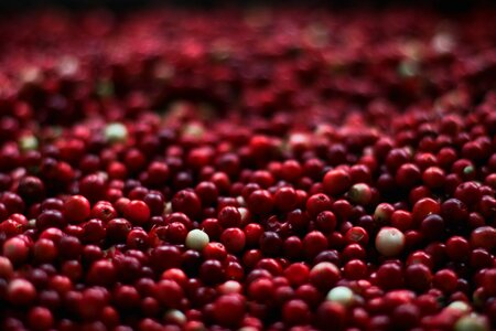 Food fruits healthy