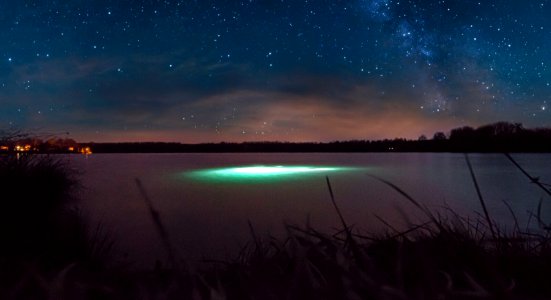 Night Dive (181745183)