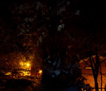 Night scene after snowfall with building and lights and trees