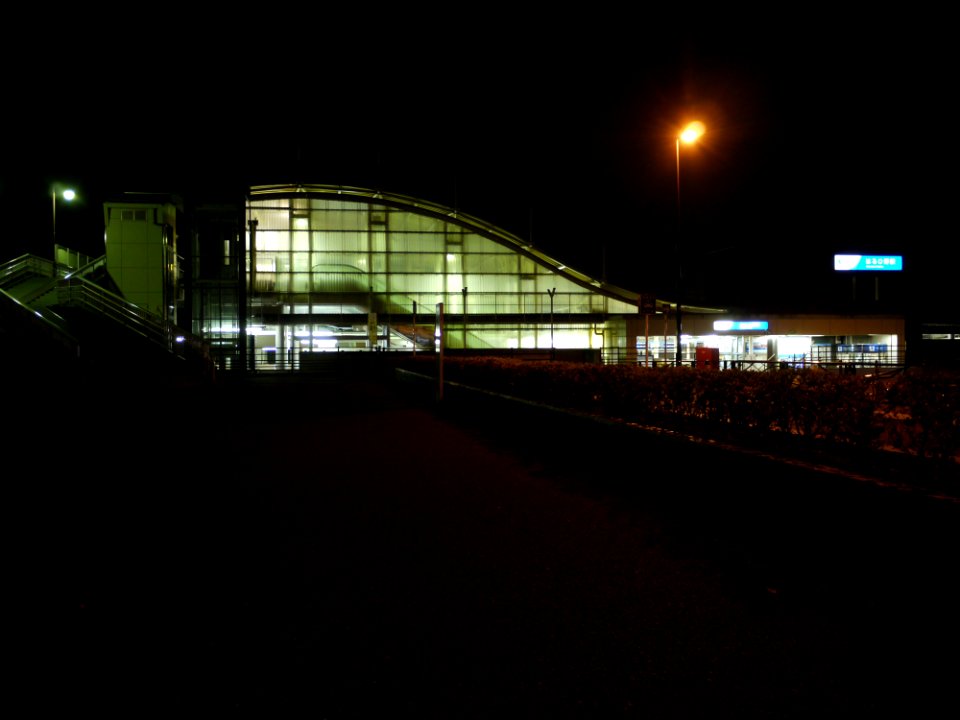 Night at a station