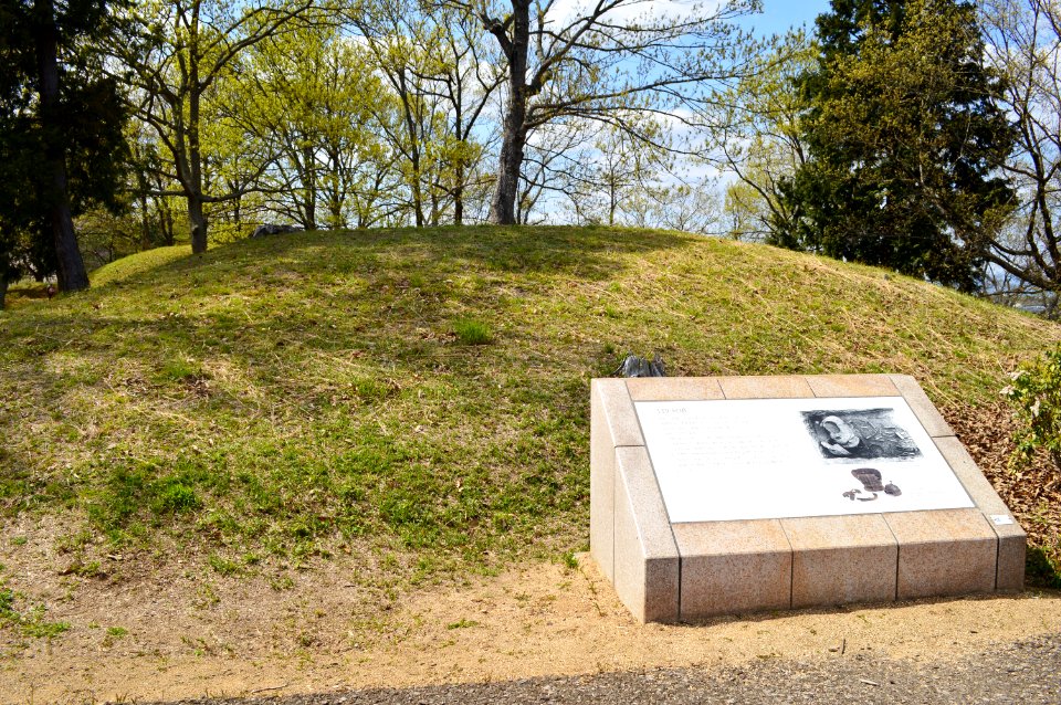 Niizawa Senzuka Kofun Group-139, funkyu