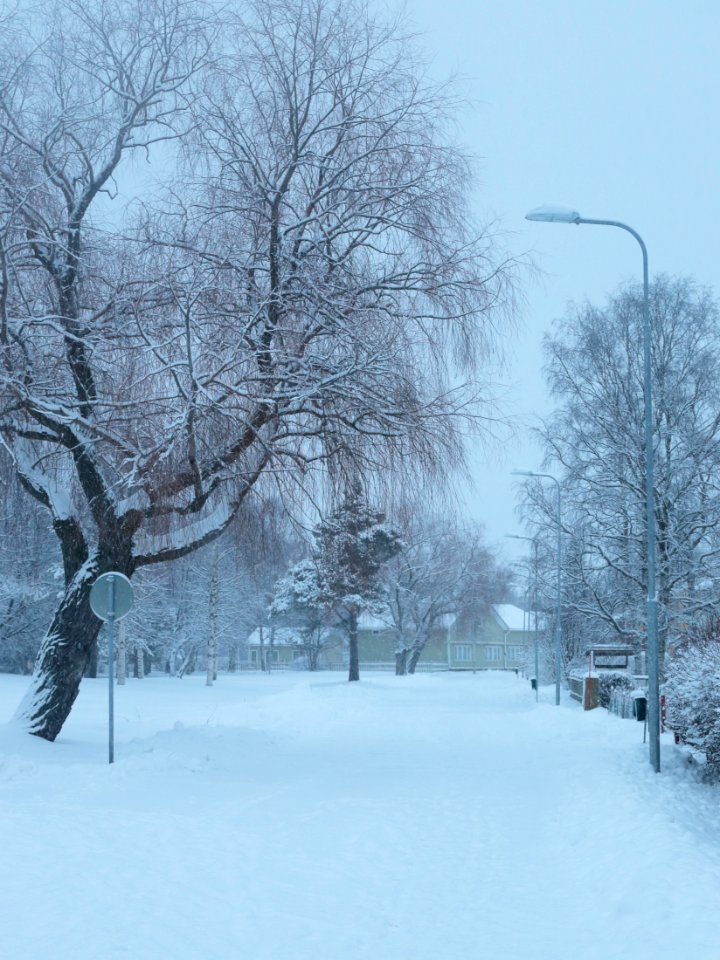 Niilontie Oulu 20210101 01