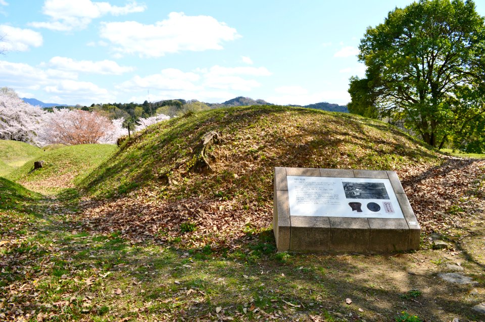 Niizawa Senzuka Kofun Group-109, funkyu