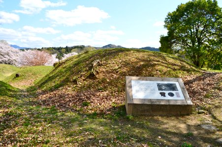 Niizawa Senzuka Kofun Group-109, funkyu