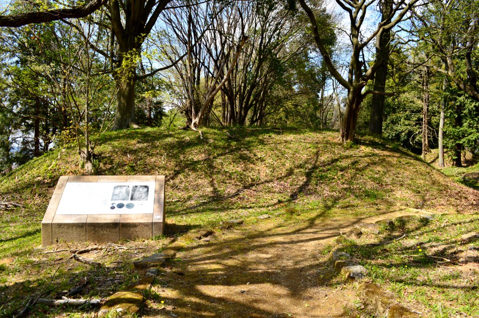 Niizawa Senzuka Kofun Group-48, funkyu
