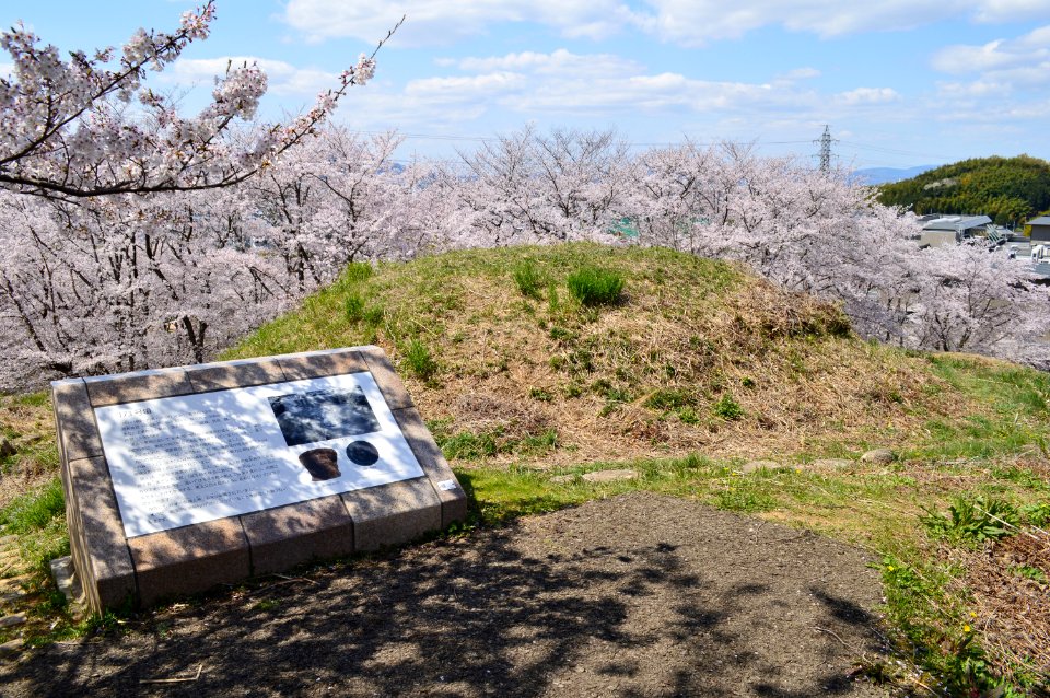 Niizawa Senzuka Kofun Group-137, funkyu