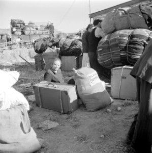 Nieuw aangekomen emigranten (oliem) in het doorgangskamp St Lucas bij Haifa bij, Bestanddeelnr 255-1165