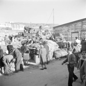 Nieuw aangekomen emigranten (oliem) uit landen van achter het IJzeren Gordijn i…, Bestanddeelnr 255-1161