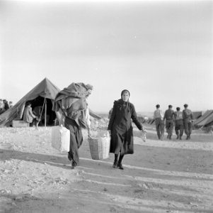Nieuw aangekomen emigranten (oliem) in het doorgangskamp St Lucas bij Haifa me…, Bestanddeelnr 255-1171