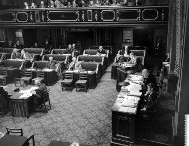 Nieuw Guinea debat in de Eerste Kamer, Bestanddeelnr 911-7493