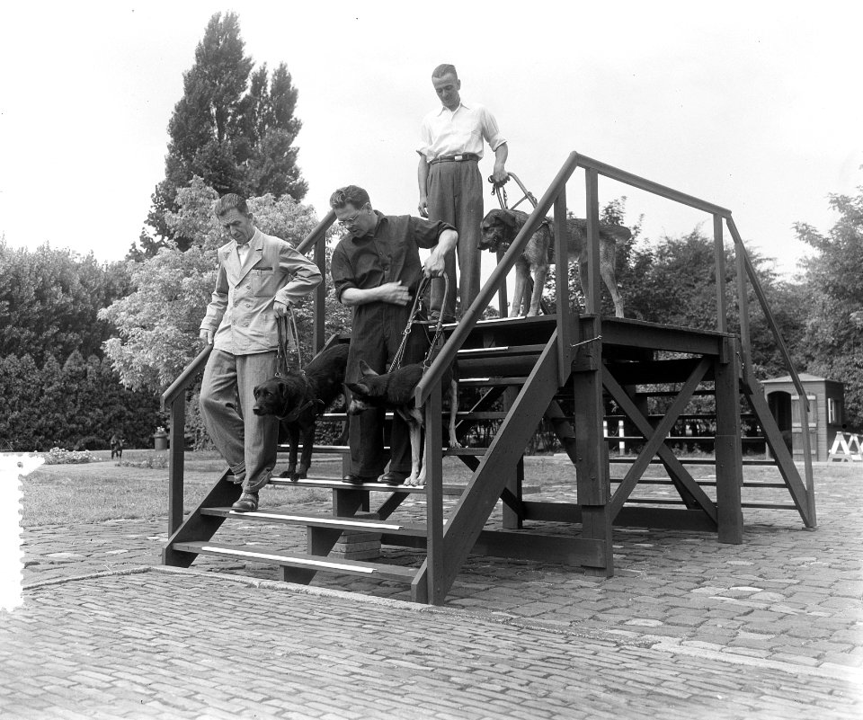 Nieuw gedeelte blindenhondengeleidenschool Amsterdam, Bestanddeelnr 905-8869