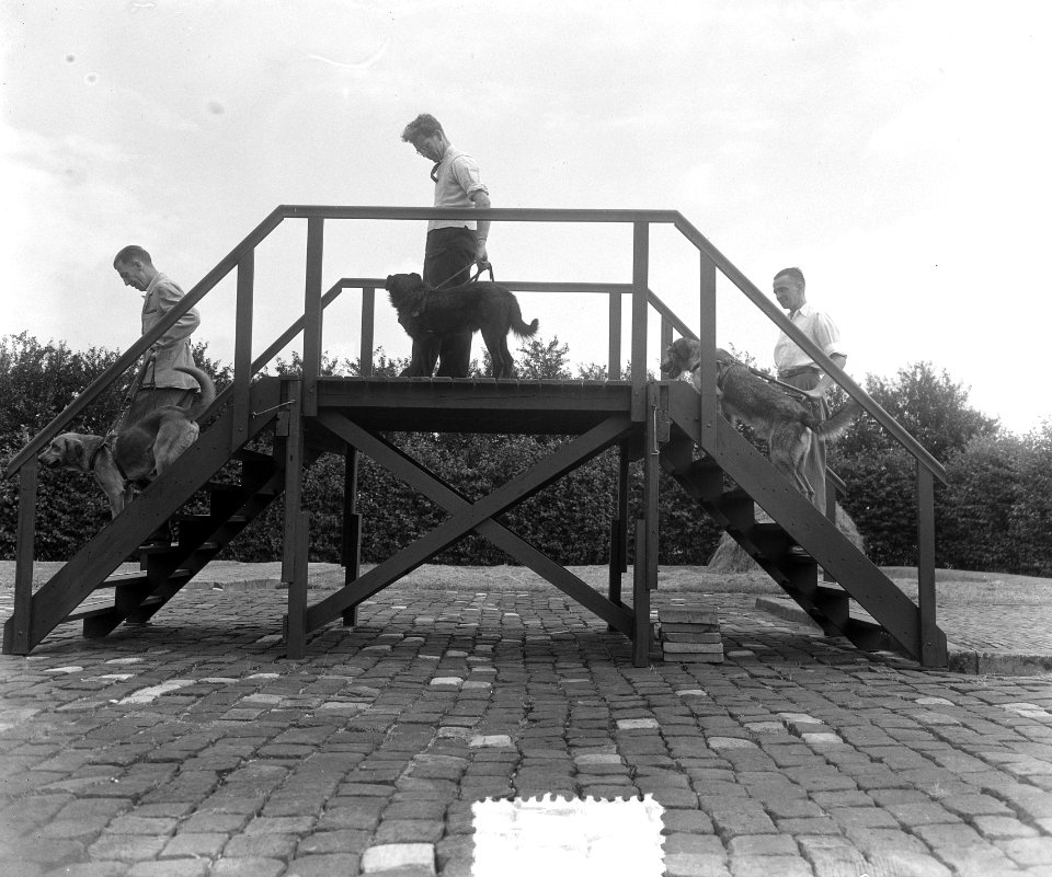 Nieuw gedeelte blindenhondengeleidenschool Amsterdam, Bestanddeelnr 905-8866