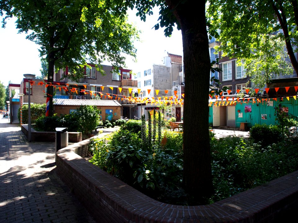 Nieuwe Houttuinen foto 6