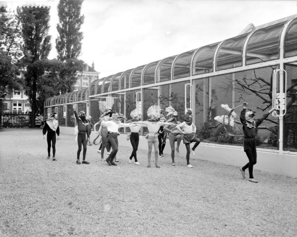 Nieuw vogelhuis in Artis, Bestanddeelnr 911-4225