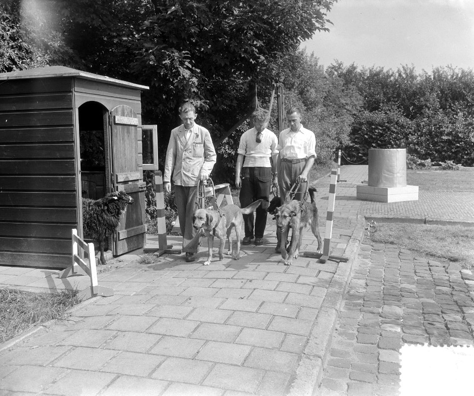 Nieuw gedeelte blindenhondengeleidenschool Amsterdam, Bestanddeelnr 905-8867