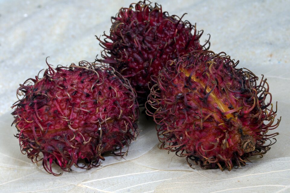 Rambutan fruity exotic