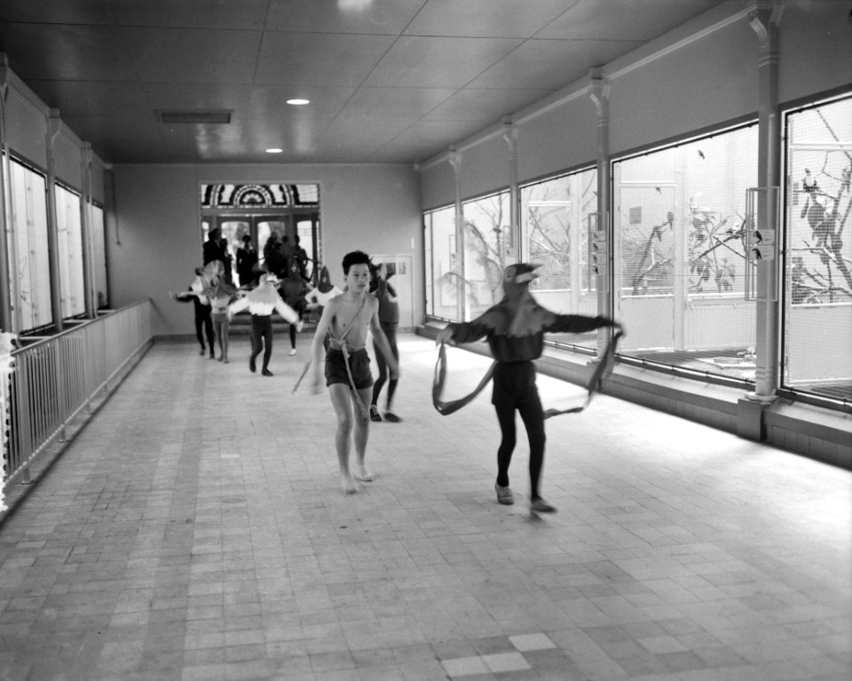Nieuw vogelhuis in Artis, Bestanddeelnr 911-4223