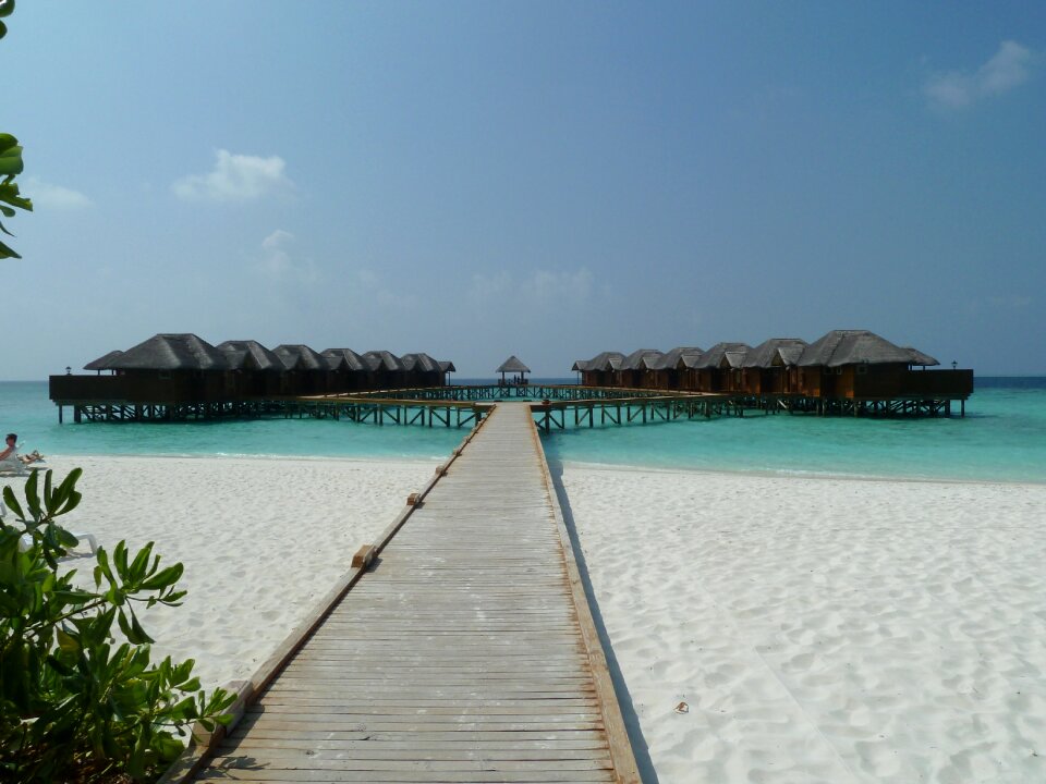 Bungalow sea summer