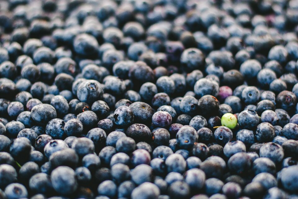 Fruits blue food gray food