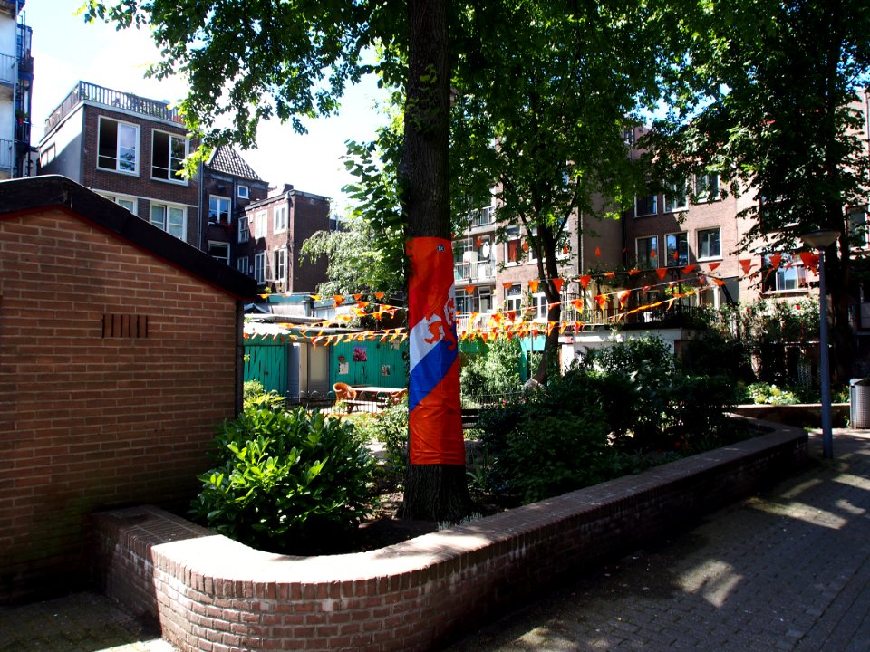 Nieuwe Houttuinen foto 5