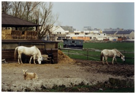 Nieuwbouw op de plek waar het Sportfondsenbad stond aan de Zwemmerslaan., NL-HlmNHA 54035239