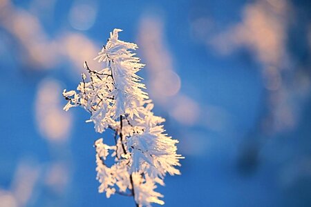Icy frozen nature