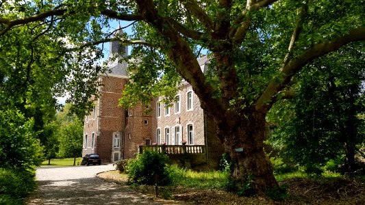 Nijswiller-Kasteel Nijswiller (8)