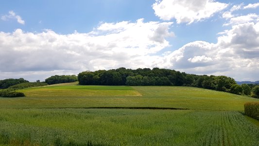 Nijswiller-Kolmonderbosch (2)