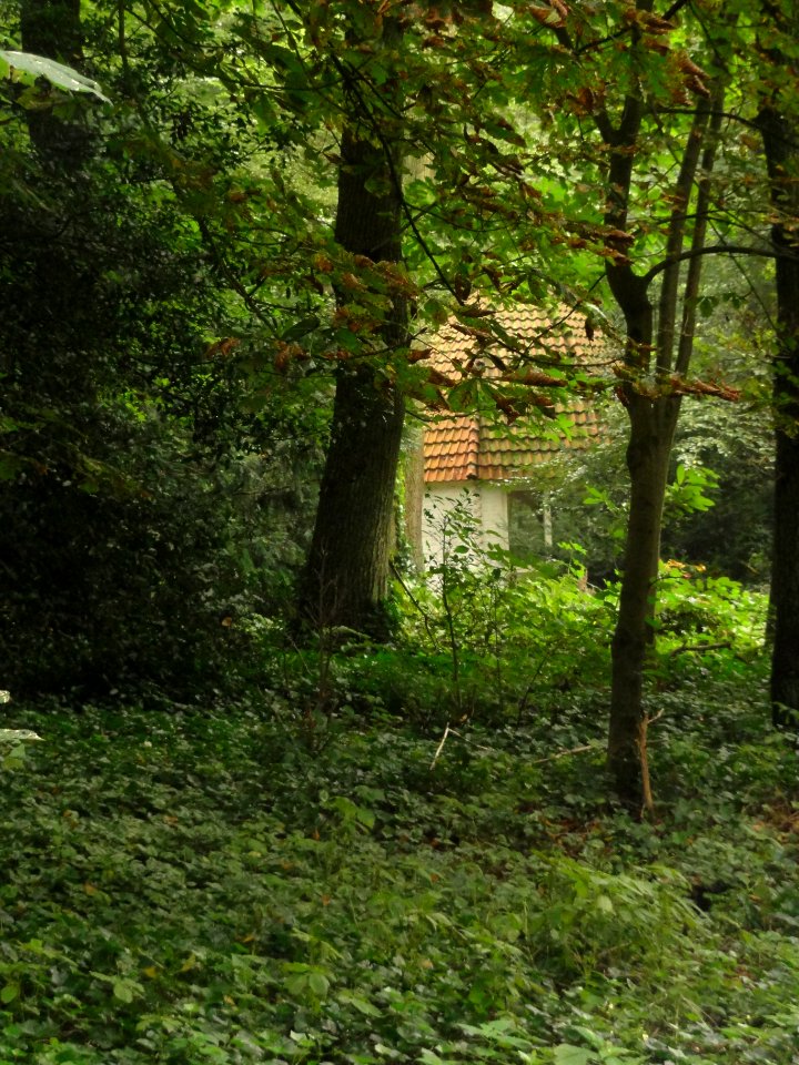 Nijmegen Rijksmonument 522924 Marie Louise theehuis Eversweg 4