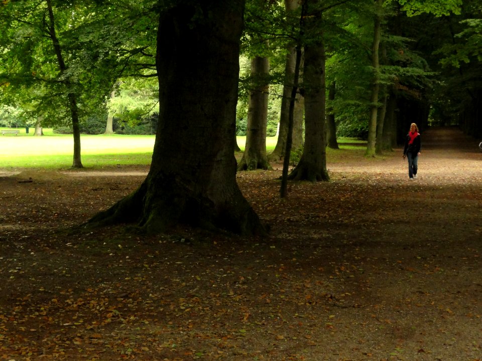 Nijmegen Rijksmonument 522933 parklandgoed Brakkesteijn