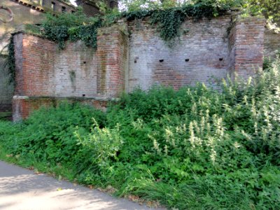 Nijmegen Rijksmonument 31195 Hunnerpark St.Geertruidenkapel ruïne