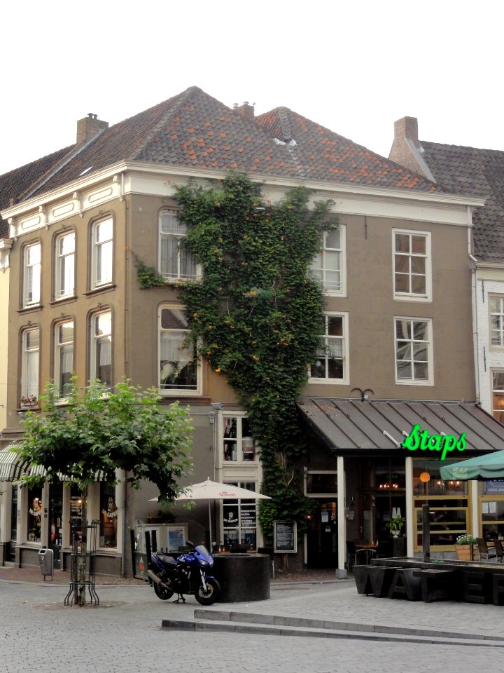 Nijmegen Rijksmonument 31124 Ganzenheuvel 1