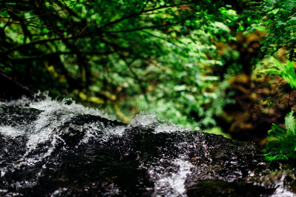 Water landscape natural
