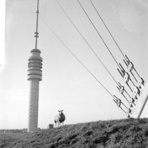 Nieuwe televisiezender te Lopik, de nieuwe televisiezender, Bestanddeelnr 911-9881