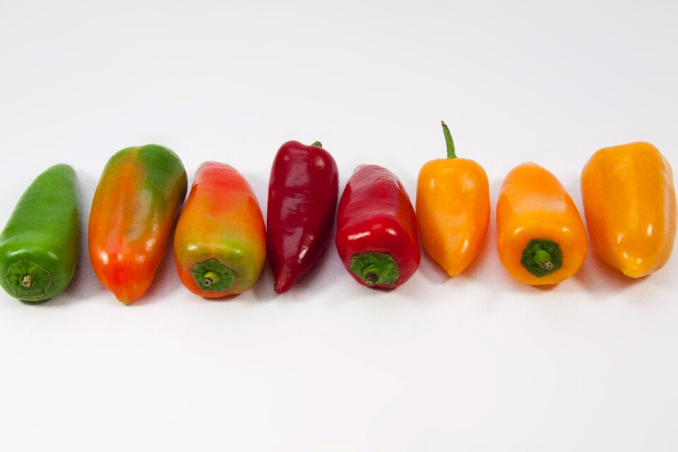 Orange red green