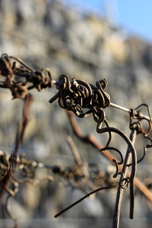 Vegetation branch cross
