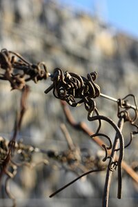 Vegetation branch cross