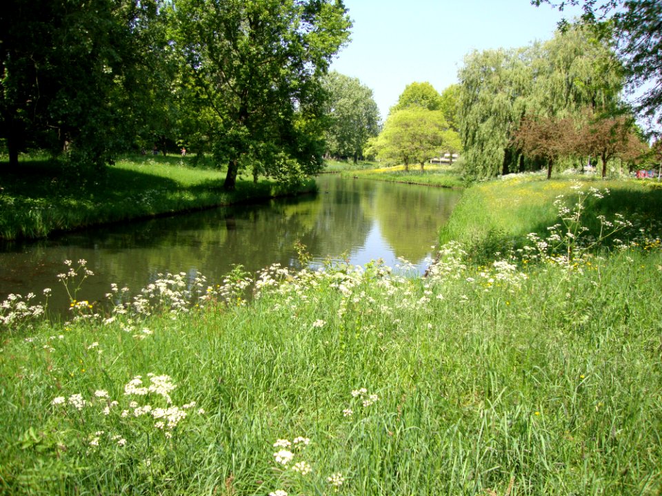 Nieuwe Wetering west of Meijhorst, Nijmegen Dukenburg, NL