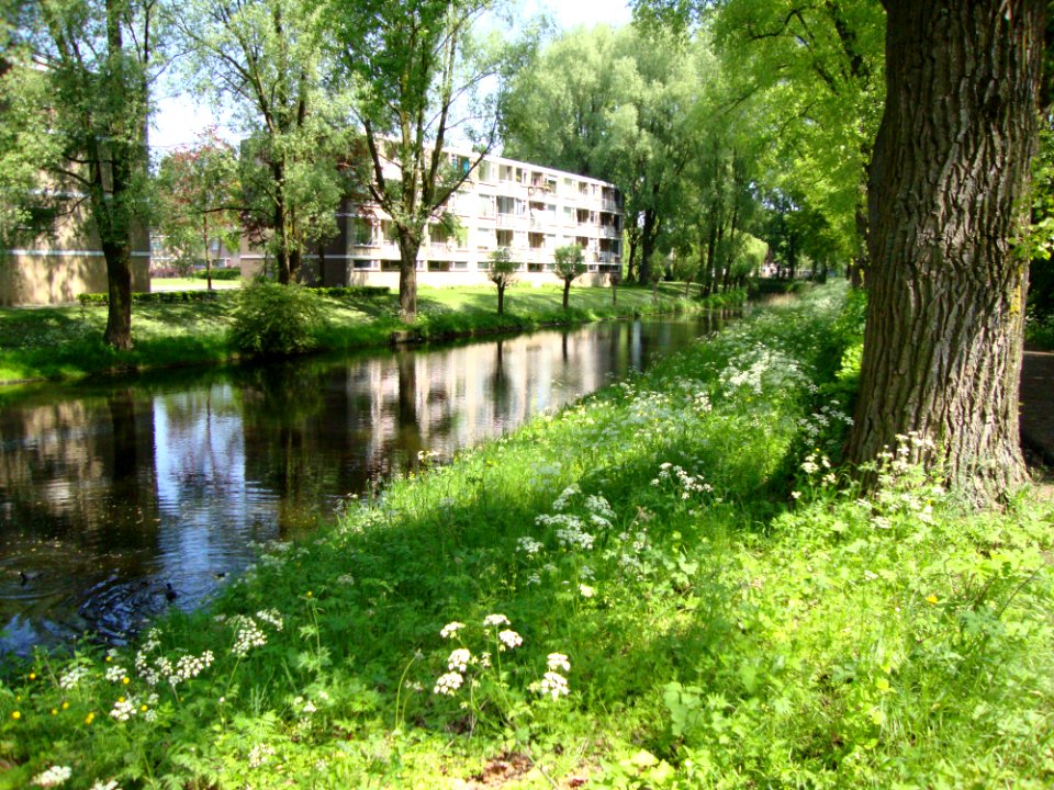 Nieuwe Wetering, zuidzijde Aldenhof, Nijmegen Dukenburg, NL