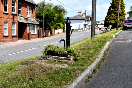 Newton Poppleford (2021-06-05) 07