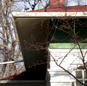 Newton house (Sioux City) NW corner eaves