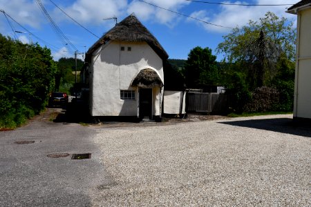 Newton Poppleford (2021-06-05) 24