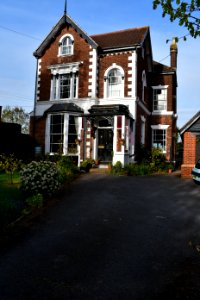 Newtown, Exeter (2021-05-07) 05