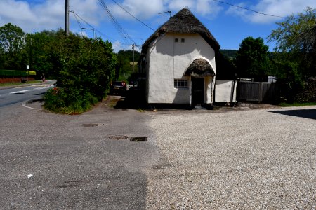 Newton Poppleford (2021-06-05) 25