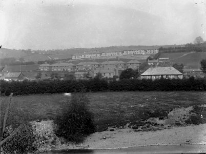 Newtown (1293791)