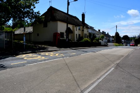Newton Poppleford (2021-06-05) 10