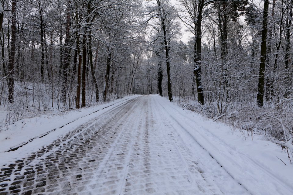 Next to Griebnitzkanal with snow 2021-01-30 20