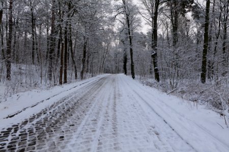 Next to Griebnitzkanal with snow 2021-01-30 20