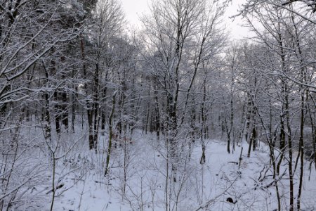 Next to Griebnitzkanal with snow 2021-01-30 23