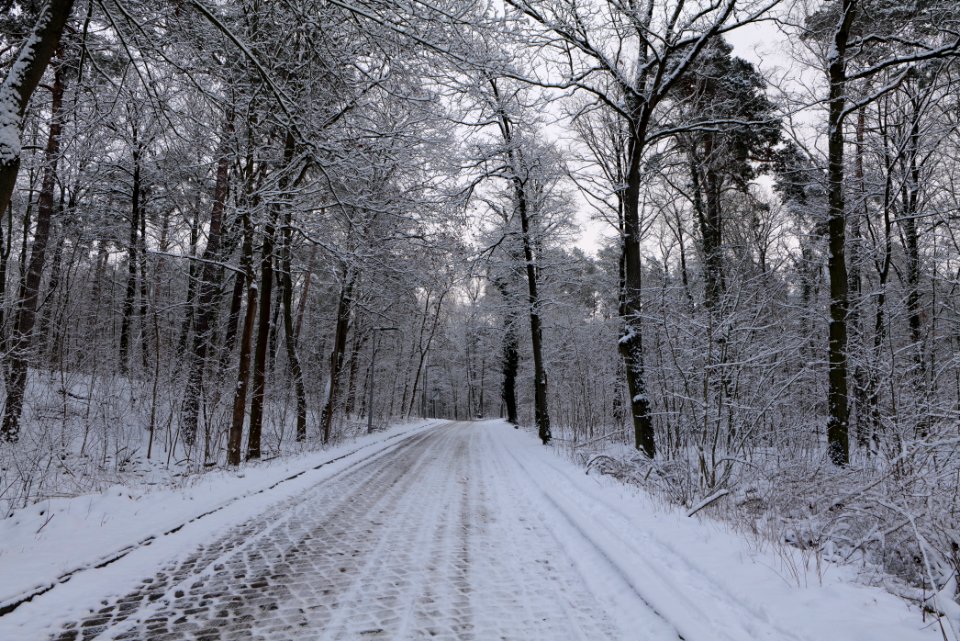 Next to Griebnitzkanal with snow 2021-01-30 21